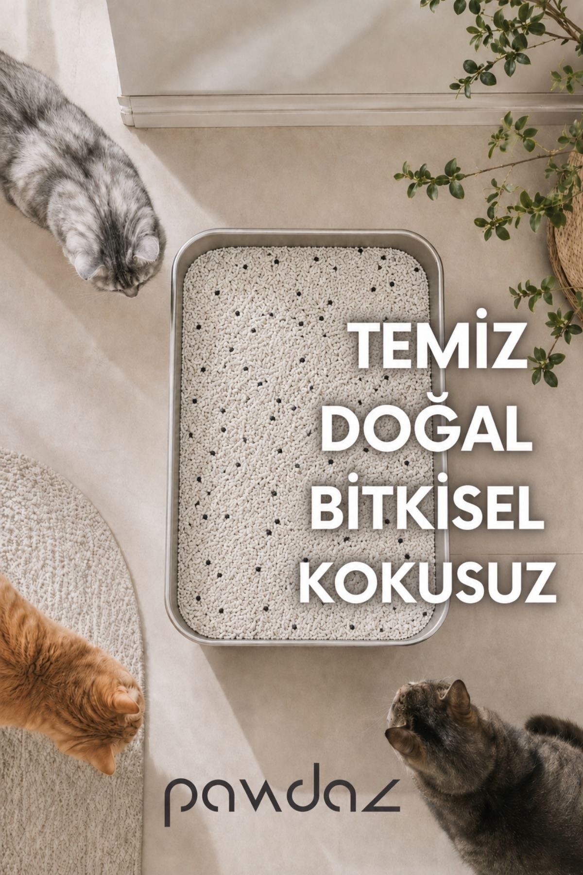Aktif Karbonlu Cassava Kedi Kumu – Kokusuz, Hızlı ve Güçlü Topaklanma