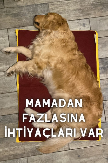 SERİN - İster sıcak serin, ister soğuk (Bordo XL)
