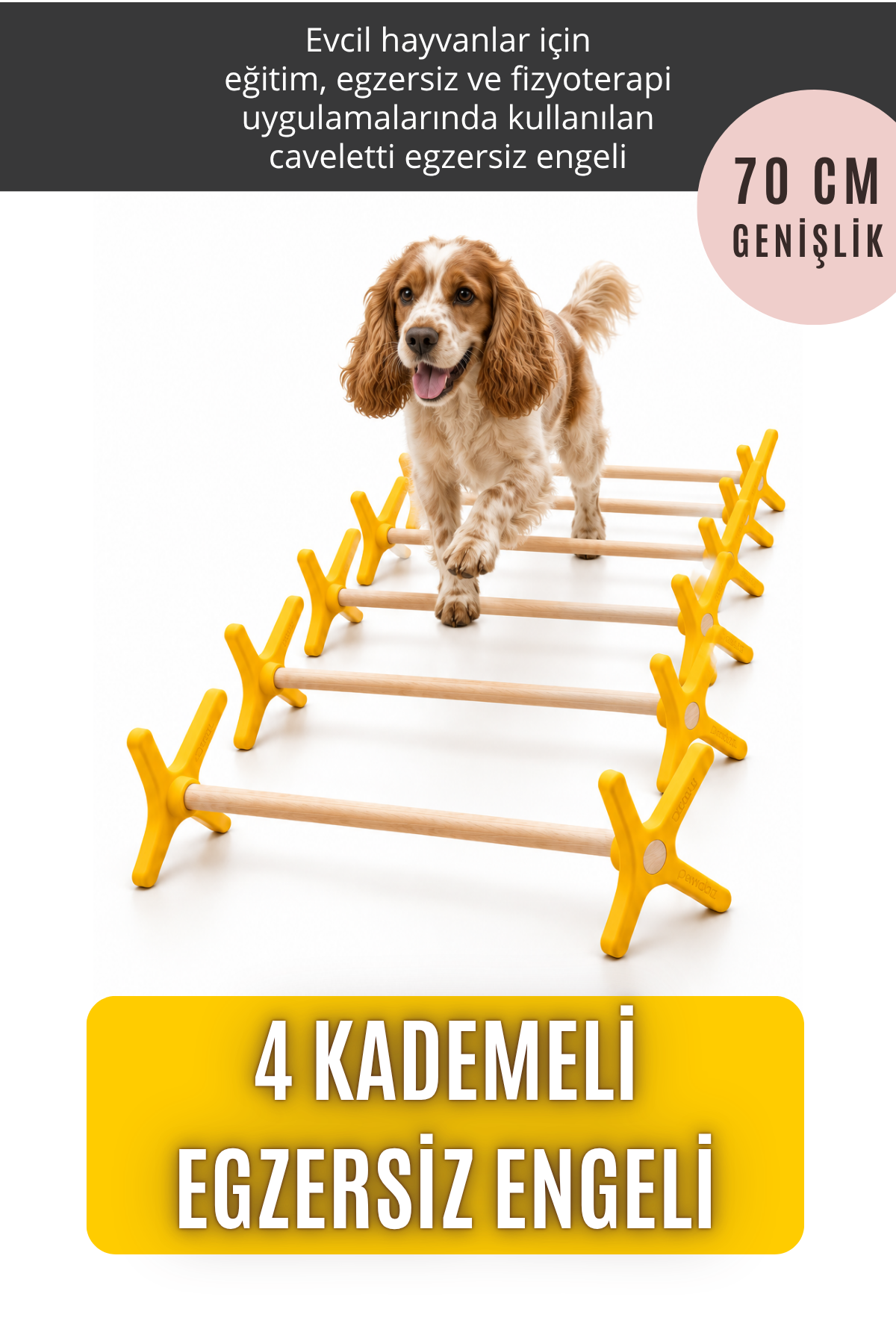 Bir kişinin köpeği Cavaletti parkurunda yönlendirdiği temsili kullanım görseli