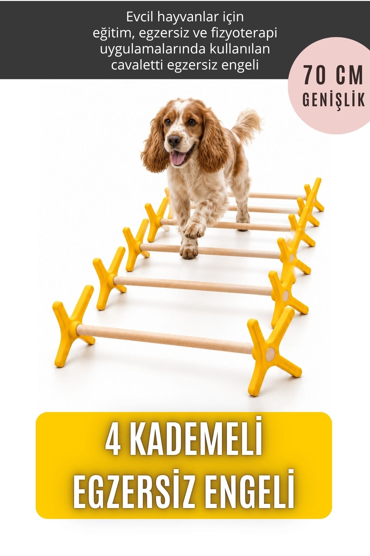 CAVALETTİ - Köpek ve Kediler İçin Egzersiz Engeli (6 ADET)