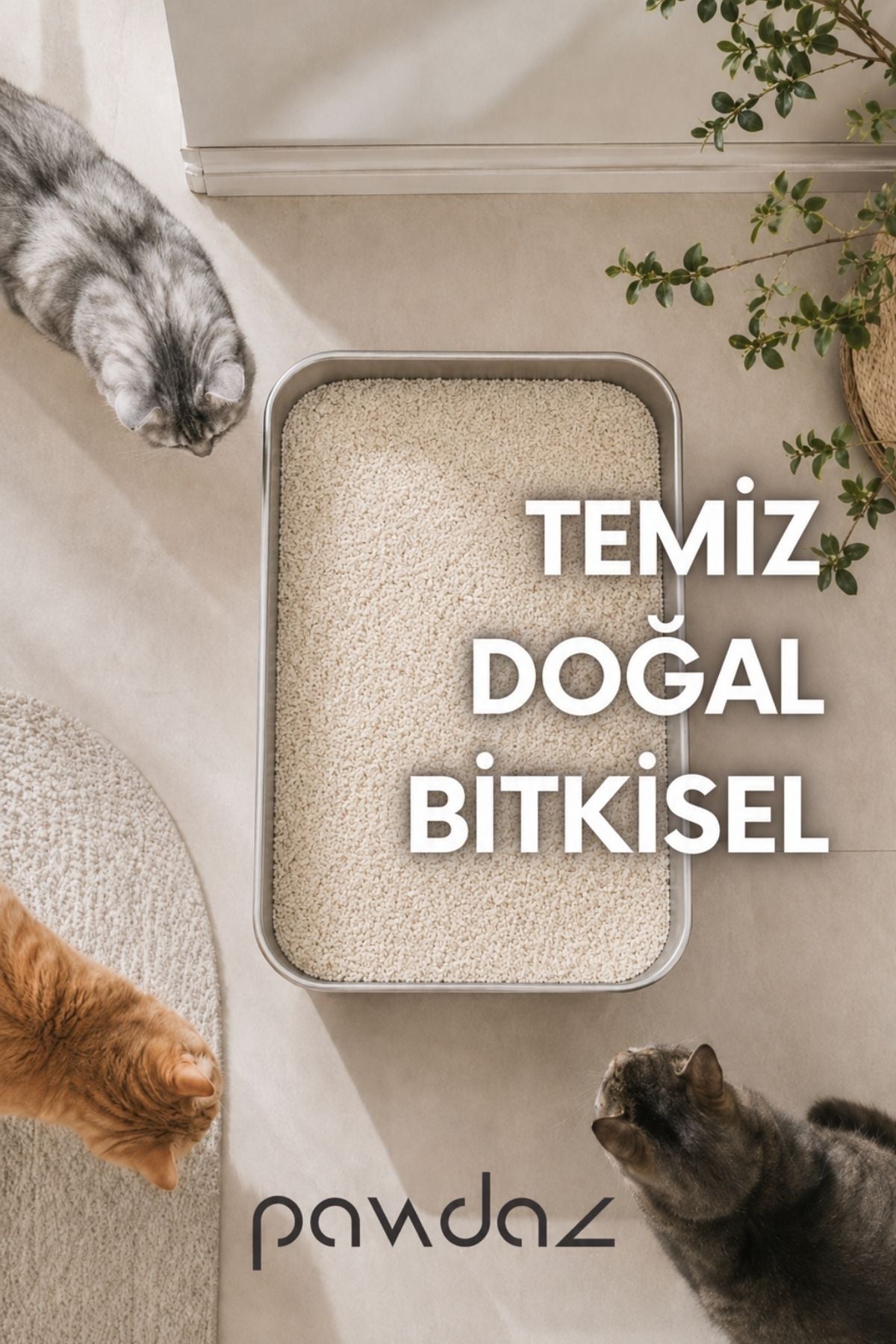 Cassava Kedi Kumu – Hızlı ve Güçlü Topaklanma