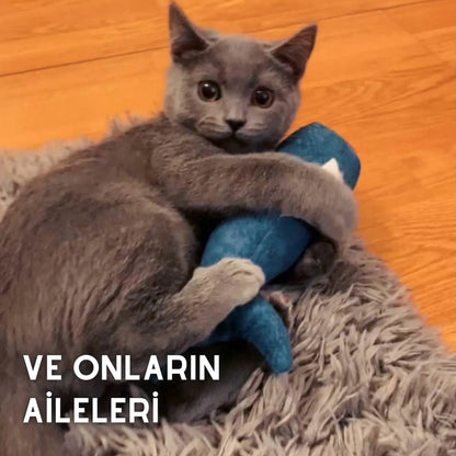 matatabi-FISH (Orjinal (Mavi))