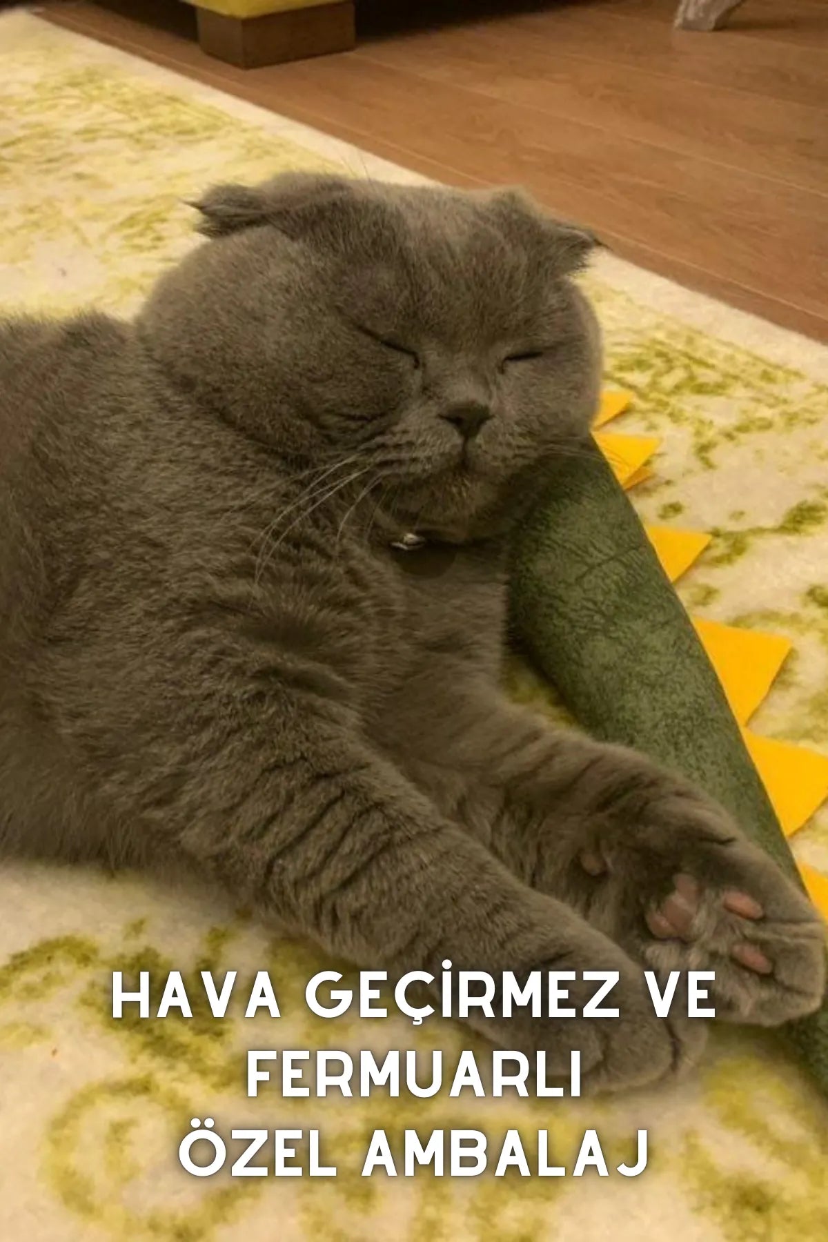matatabi-DINO (Yeşil)