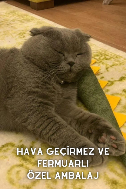 matatabi-DINO (Yeşil)
