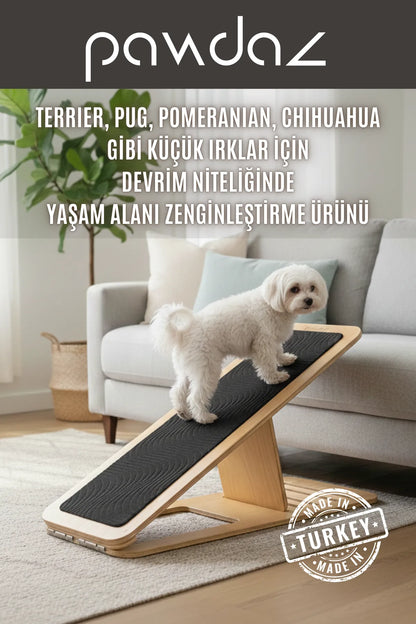 Dayanak - Yaşlı, Engelli, Yavru, Ameliyat Sonrası, Kısa Boylu Kediler ve Köpekler İçin 5 Kademeli Rampa