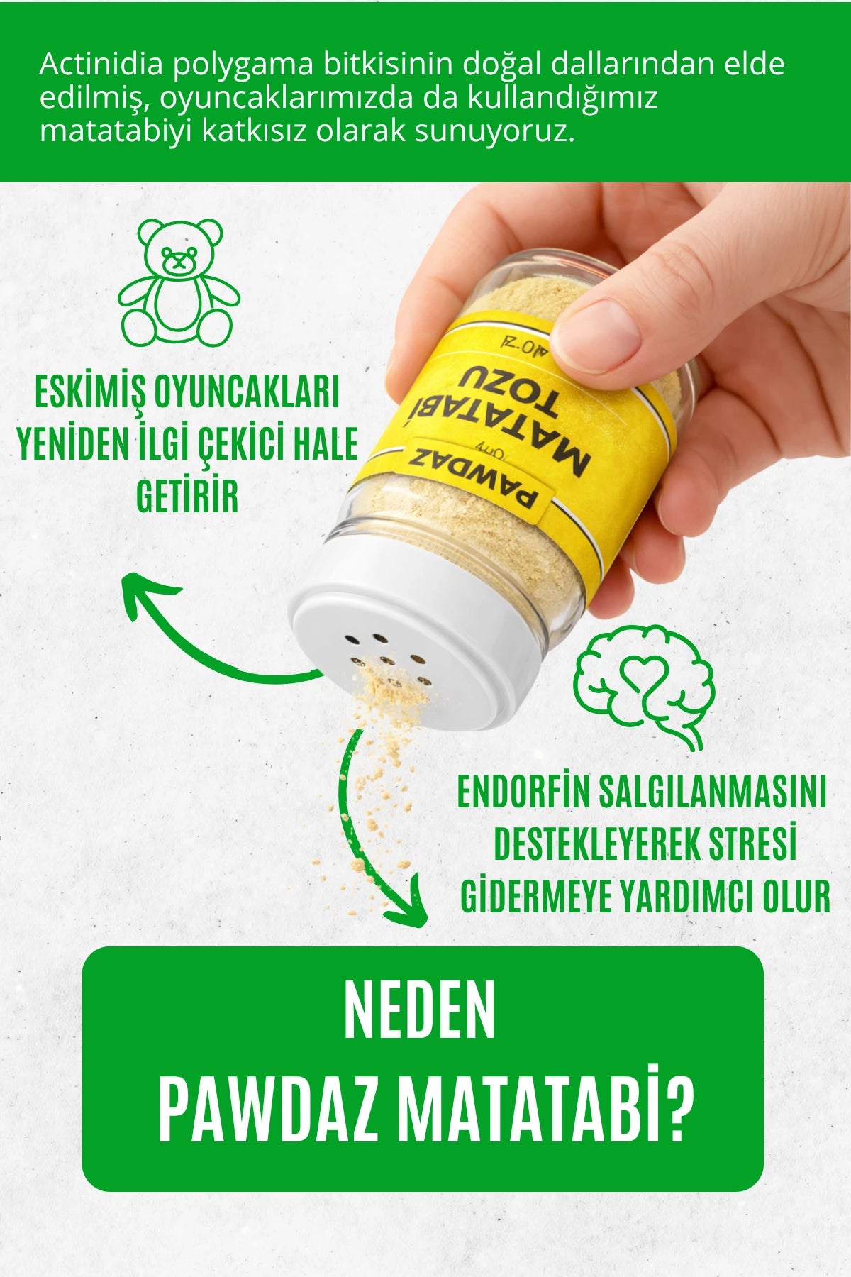 STICK - Kediler için diş temizlemeye ve stres gidermeye yardımcı oyuncak (MATATABİ TOZU)