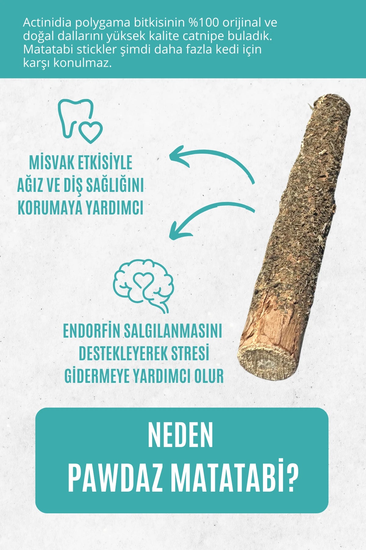 STICK - Kediler için diş temizlemeye ve stres gidermeye yardımcı oyuncak (CATNİPLİ)