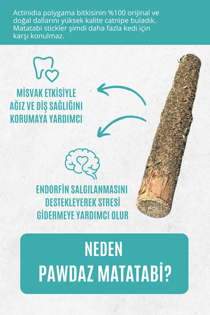 STICK - Kediler için diş temizlemeye ve stres gidermeye yardımcı oyuncak (CATNİPLİ)