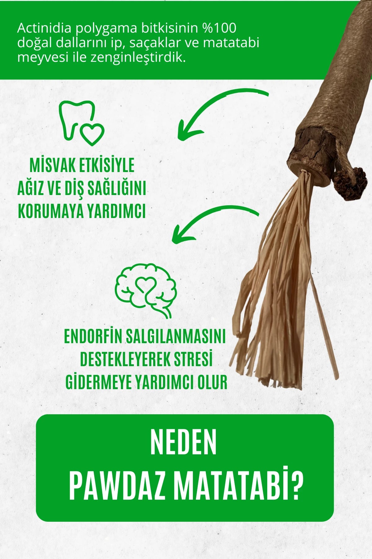 STICK - Kediler için diş temizlemeye ve stres gidermeye yardımcı oyuncak (BÜYÜK)