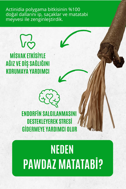 STICK - Kediler için diş temizlemeye ve stres gidermeye yardımcı oyuncak (BÜYÜK)