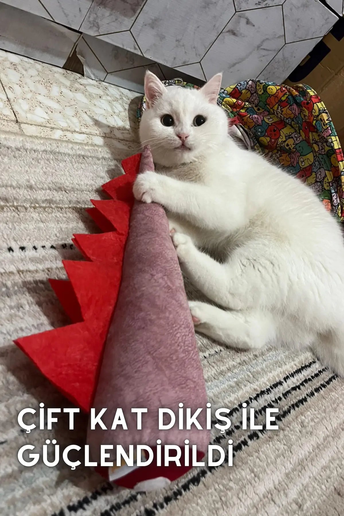matatabi-DINO (Kızıl Ejder)