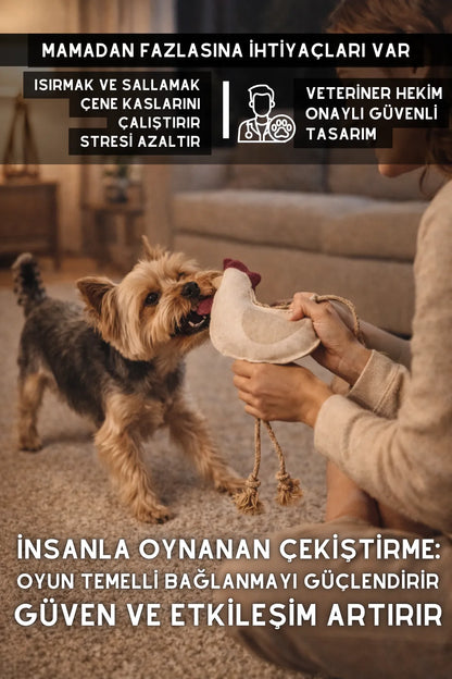 Horoz - Üç Koku Seçenekli Köpek Oyuncağı ( Dana Ciğer, Tavuk Izgara, Fıstık Ezmesi )