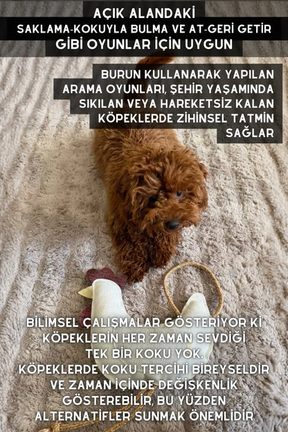 Horoz - Üç Koku Seçenekli Köpek Oyuncağı ( Dana Ciğer, Tavuk Izgara, Fıstık Ezmesi )