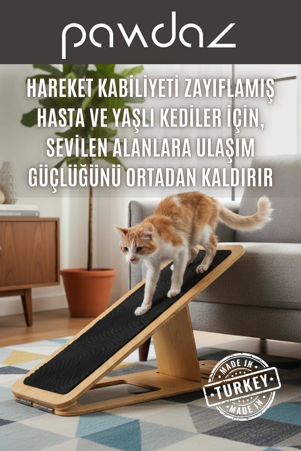 Dayanak - Yaşlı, Engelli, Yavru, Ameliyat Sonrası, Kısa Boylu Kediler ve Köpekler İçin 5 Kademeli Rampa