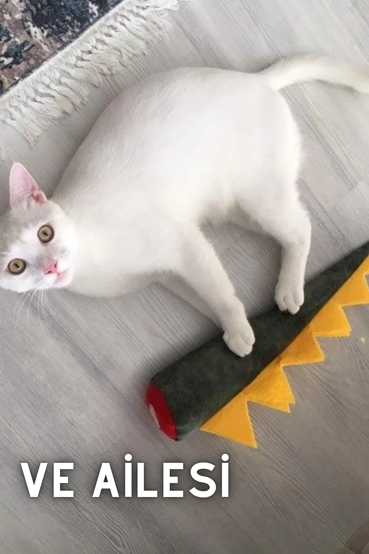 matatabi-DINO (Yeşil)