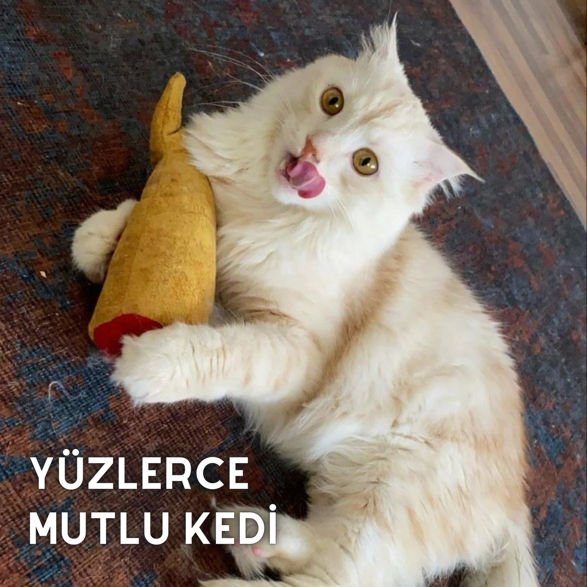 matatabi-FISH (Golden)