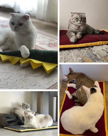 SERİN - İster sıcak serin, ister soğuk