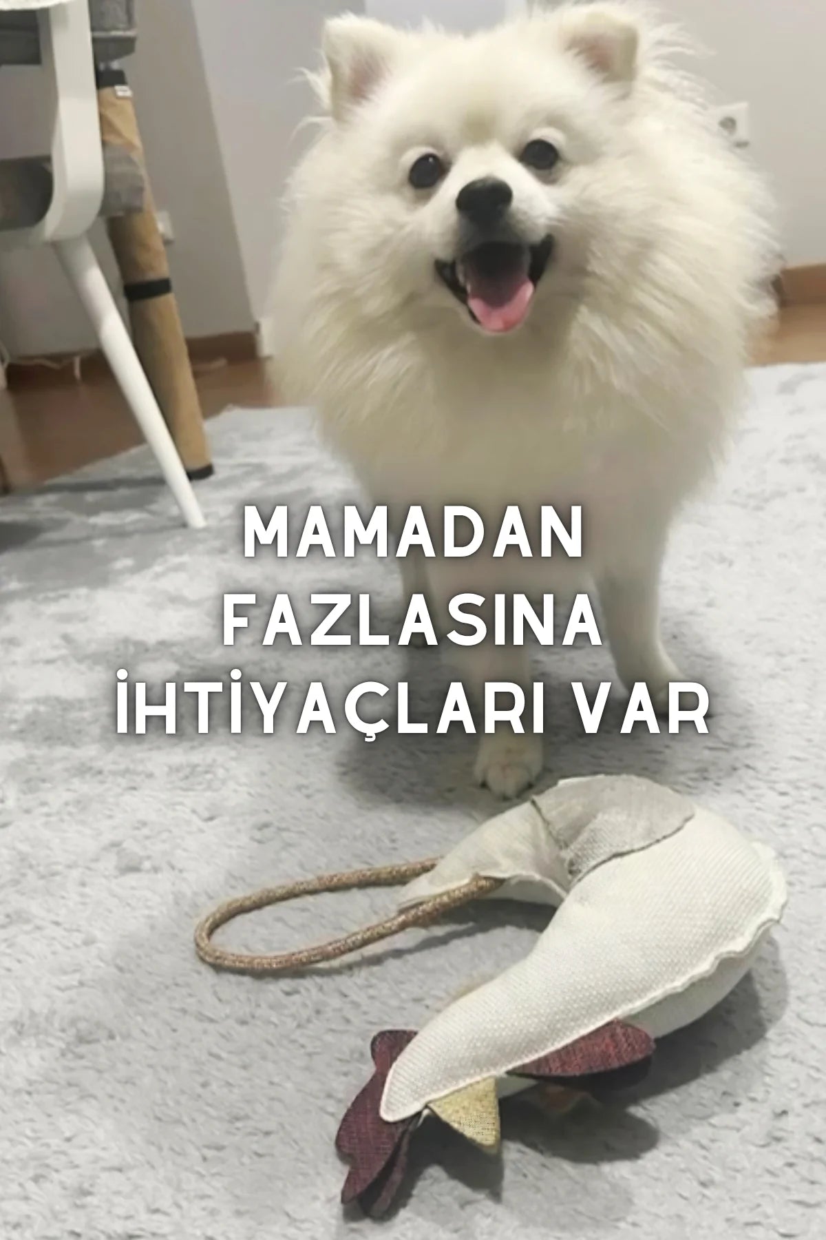 Horoz - Üç Koku Seçenekli Köpek Oyuncağı ( Dana Ciğer, Tavuk Izgara, Fıstık Ezmesi )