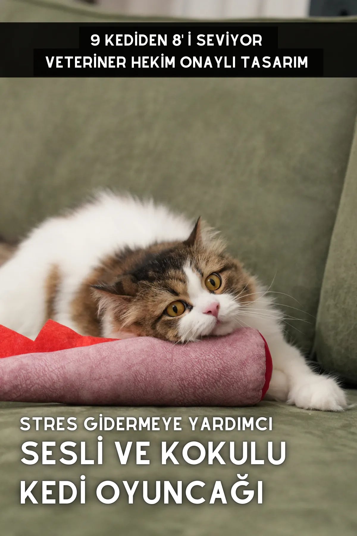matatabi-DINO (Kızıl Ejder)