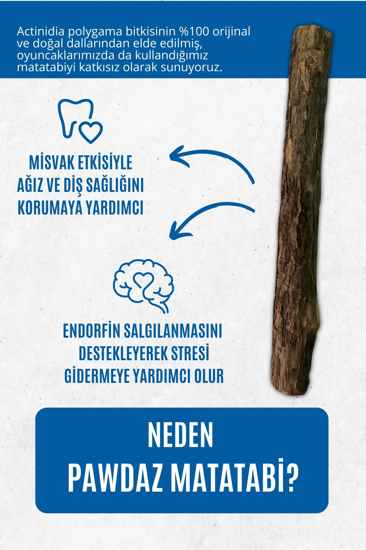 STICK - Kediler için diş temizlemeye ve stres gidermeye yardımcı oyuncak (YEDİ)