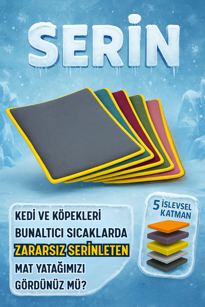 Dayanak - Yaşlı, Engelli, Yavru, Ameliyat Sonrası, Kısa Boylu Kediler ve Köpekler İçin 5 Kademeli Rampa