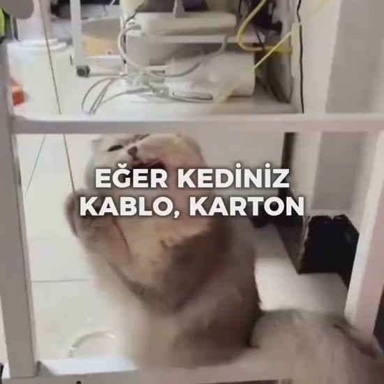 STICK - Kediler için diş temizlemeye ve stres gidermeye yardımcı oyuncak (ÜÇ) (YEDİ) (BÜYÜK) (CATNİPLİ)
