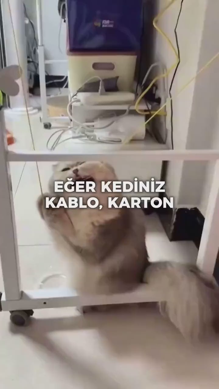 STICK - Kediler için diş temizlemeye ve stres gidermeye yardımcı oyuncak (ÜÇ) (YEDİ) (BÜYÜK) (CATNİPLİ)