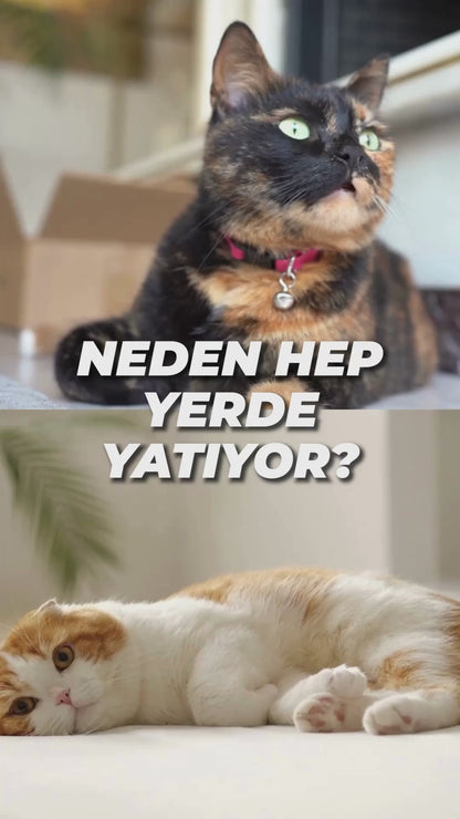 SERİN - İster sıcak serin, ister soğuk